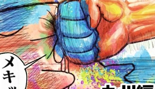 舐めた犬まとめ本【九州編】