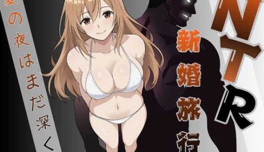 NTR新婚旅行〜夏の夜はまだ深く…〜