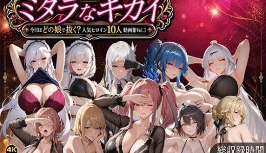 ミダラなキカイ 〜今日はどの娘で抜く！？ 人気ヒロイン10人動画集Vol.1〜