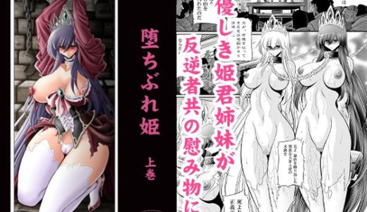 堕ちぶれ姫  上巻